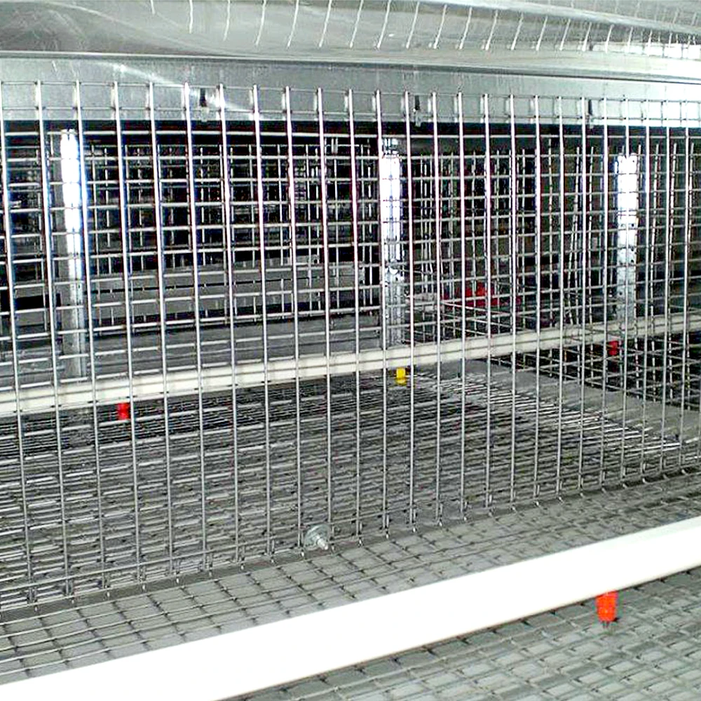 Factory-Priced Chicken Farm Automatic Layer Cage Poultry Farm Welded Iron Wire Mesh Cage Galvanized Steel Wire Mesh Competitive