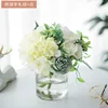 Hydrangea Handbook Green and White Bottle
