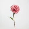 Élégant dahlia rose foncé
