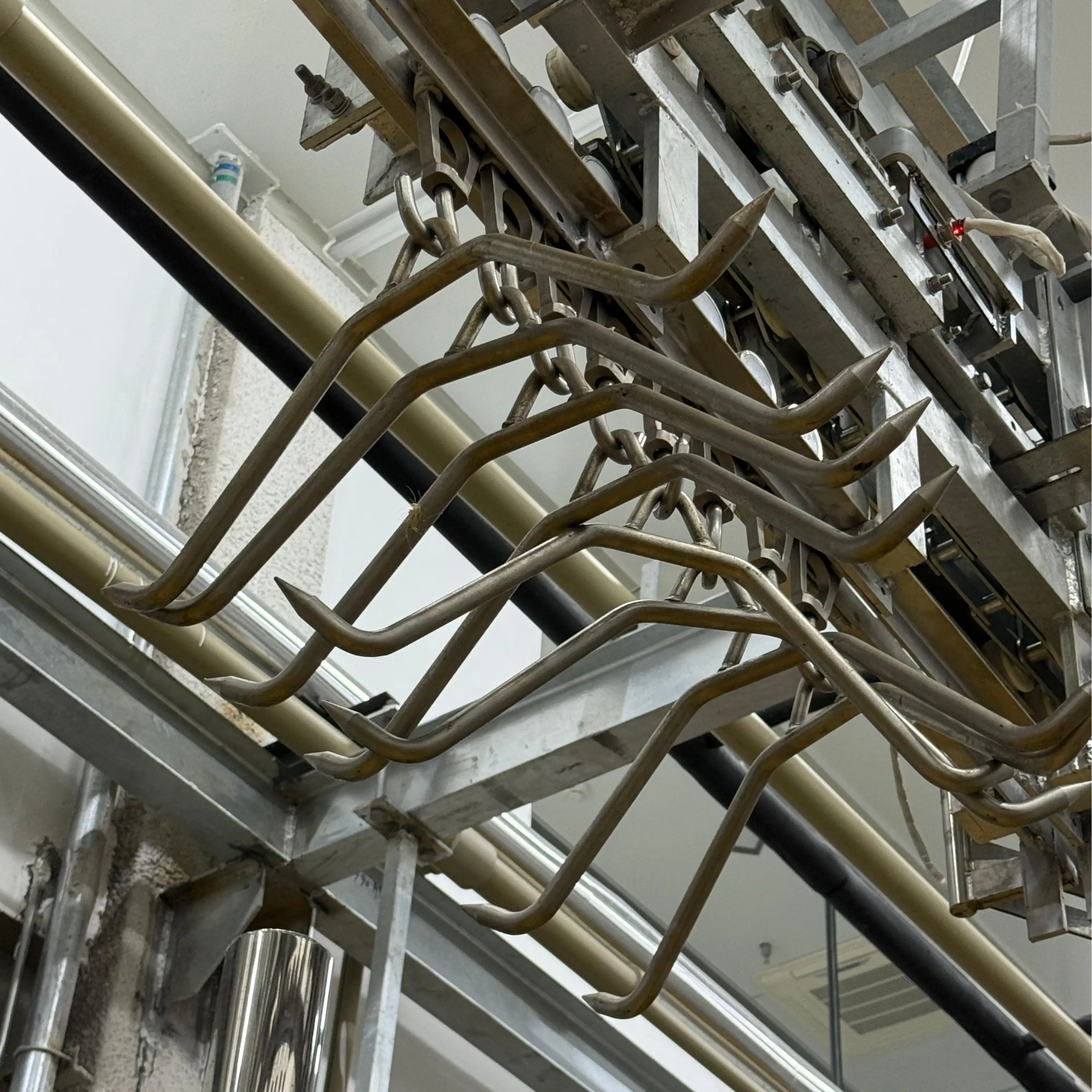 High-quality livestock, poultry and pig slaughtering equipment for large meat processing plants