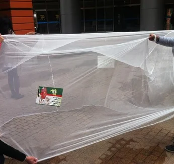 Pe Mosquito Net in Myanmar Hot Saleplastic Mosquito Net
