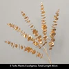 5 Forks Eucalyptus