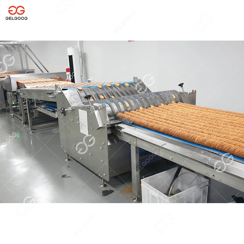 Automatic Small Scale Cracker Production Machinery Chocolate-Coated Hard Biscuit Machine