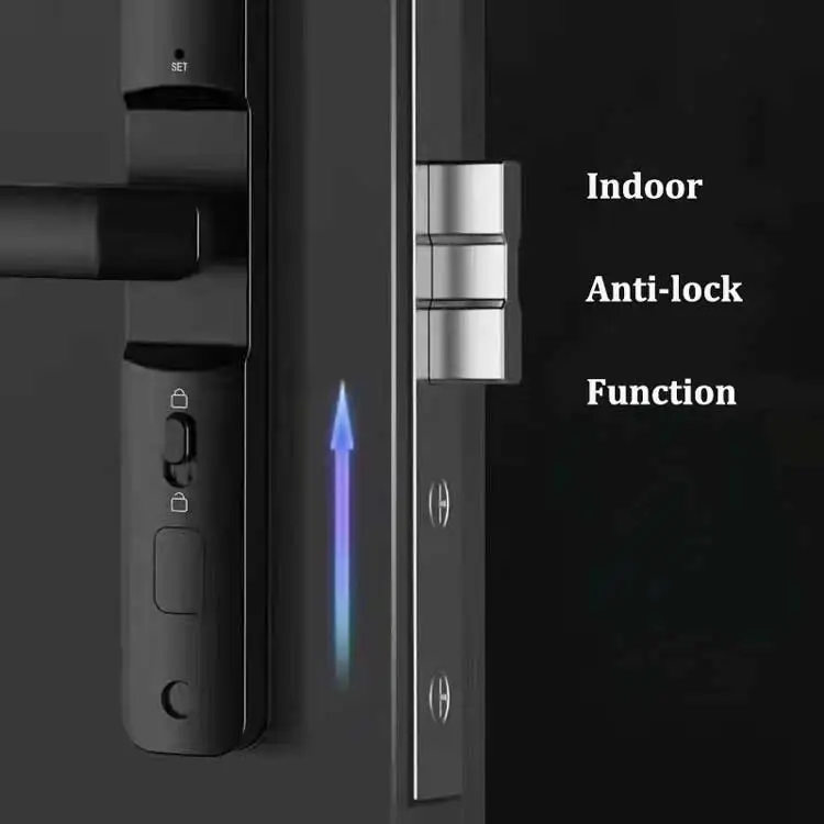 IP65 Waterproof Smart Door Lock TTlock App Biometric Fingerprint Code Card Intelligent WiFi Network for Wood Office Home Use
