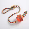 Long shoelace interactive ball Orange