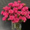 Sophie bubble-30 fleurs - conservateur inclus