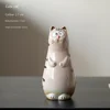 Miao carino