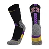 Lakers 23 noir et violet