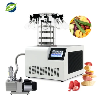 Yetuo Fruit  soil vegetable Home Small Mini LGJ-10C Multi-manifold type Lyophilizer Vacuum freeze dryer machine