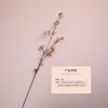 Pink (single style)