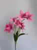 Deep pink