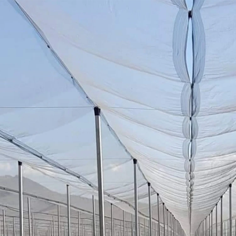 apple Tree Blueberry Orchard Grape Insect Hail Net in Zhejiang /trees protection Anti Hail Net 50gsm 45gsm 60gsm