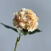 autumn white