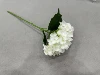 Blanco puro