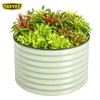 Vert clair + lit de jardin surélevé