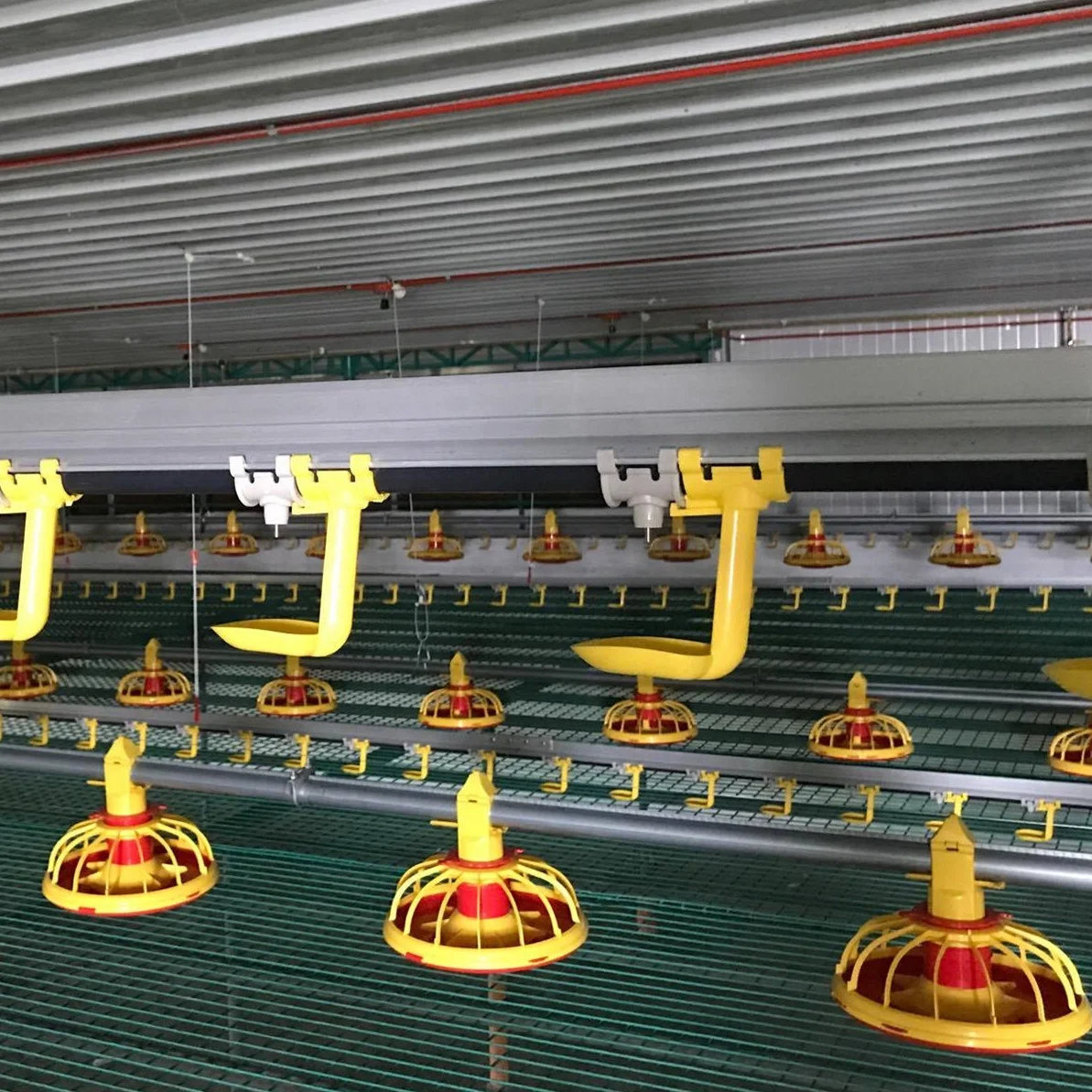 Lowest Price Automatic Poultry Control Shed Equipment for Chicken Broiler
