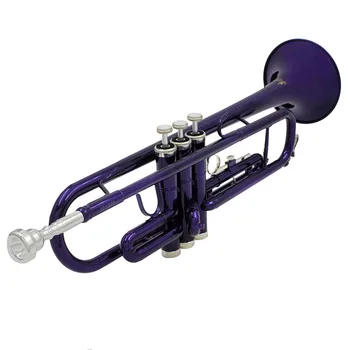 SLADEプロフェッショナルOEM管楽器カラーBbベースフラット