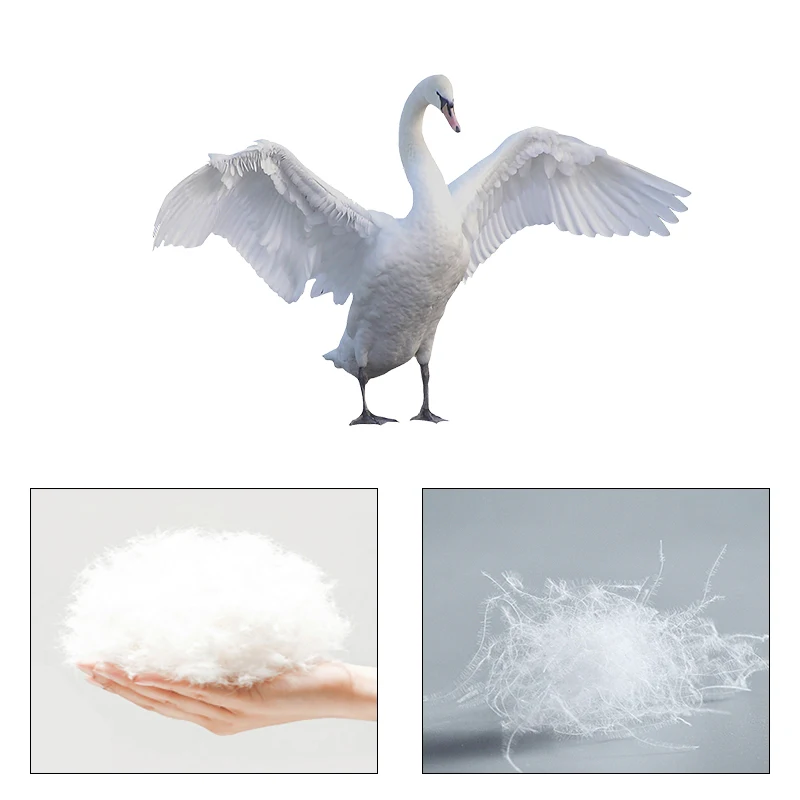 China Down Feather Supplier High Class Feathers and Downs White Small Goose Duck Feather