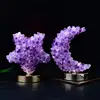 Raw Amethyst Crystal Lamp Double Sided