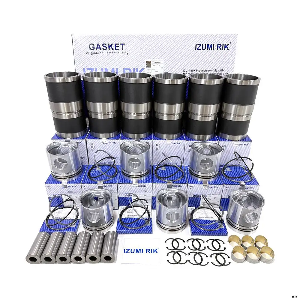 China Manufacturer Engine Parts IZUMI RIK Overhaul Rebuild Kit for Deutz 6M1015