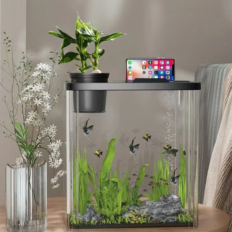 Transparent Acrylic Fish tank Viewing Fish tank Aquarium Landscaping With Lid Living Room Small Desktop tank Large