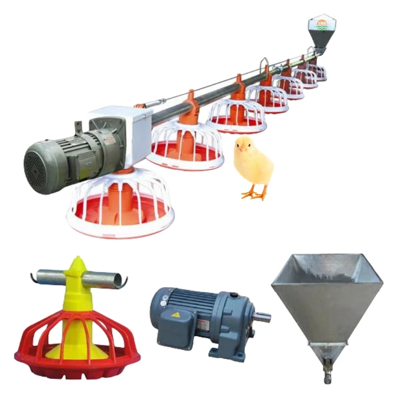 Automatic Poultry Feeding System for Chicken Water Dispensers and Feeders for Chicken Farms