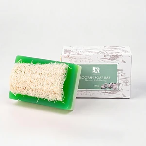 Custom Natural Handmade Aloe Vera Body Soap Loofah Bar Brightening Whitening Exfoliating Toilet Bath Soap