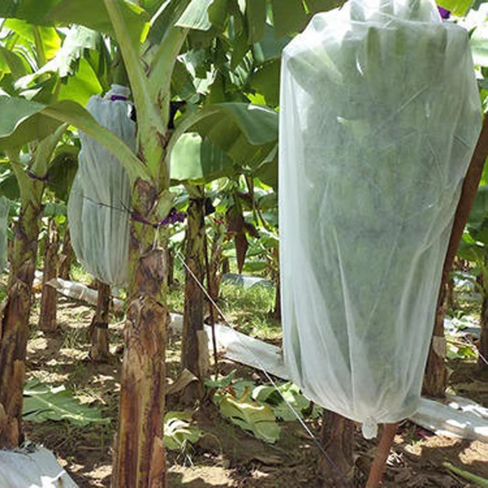 Eco-friendly Agriculture Plant Cover Biodegradable PP Non Woven Banana Bag
