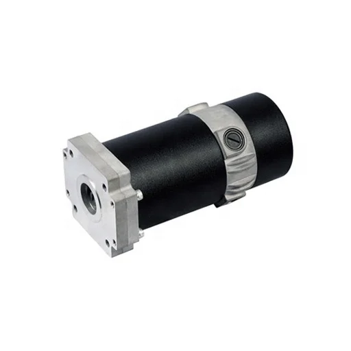 Brushed Electric Power Wheelchair Dc Motor 12v Buy Wheelchair Dc