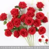Red 3-headed cream rose