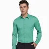Menta