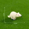 4# Anteater