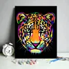 Leopard Colorful