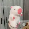 Pink bubble capybara