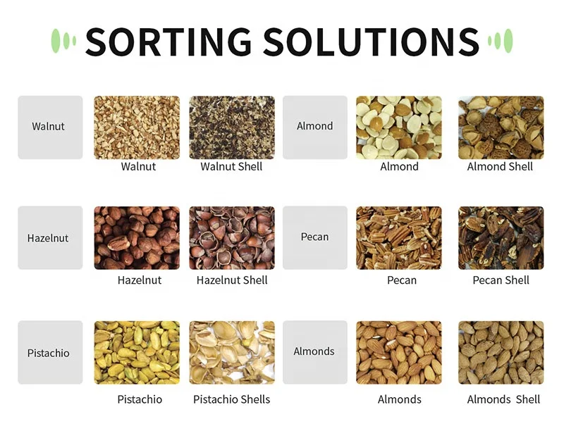WESORT Manufacturer 6SXZ-204 Nut Processing Machine Shape Sorter for Pine Nuts Pistachios Walnuts Figs Etc. Color Sorter