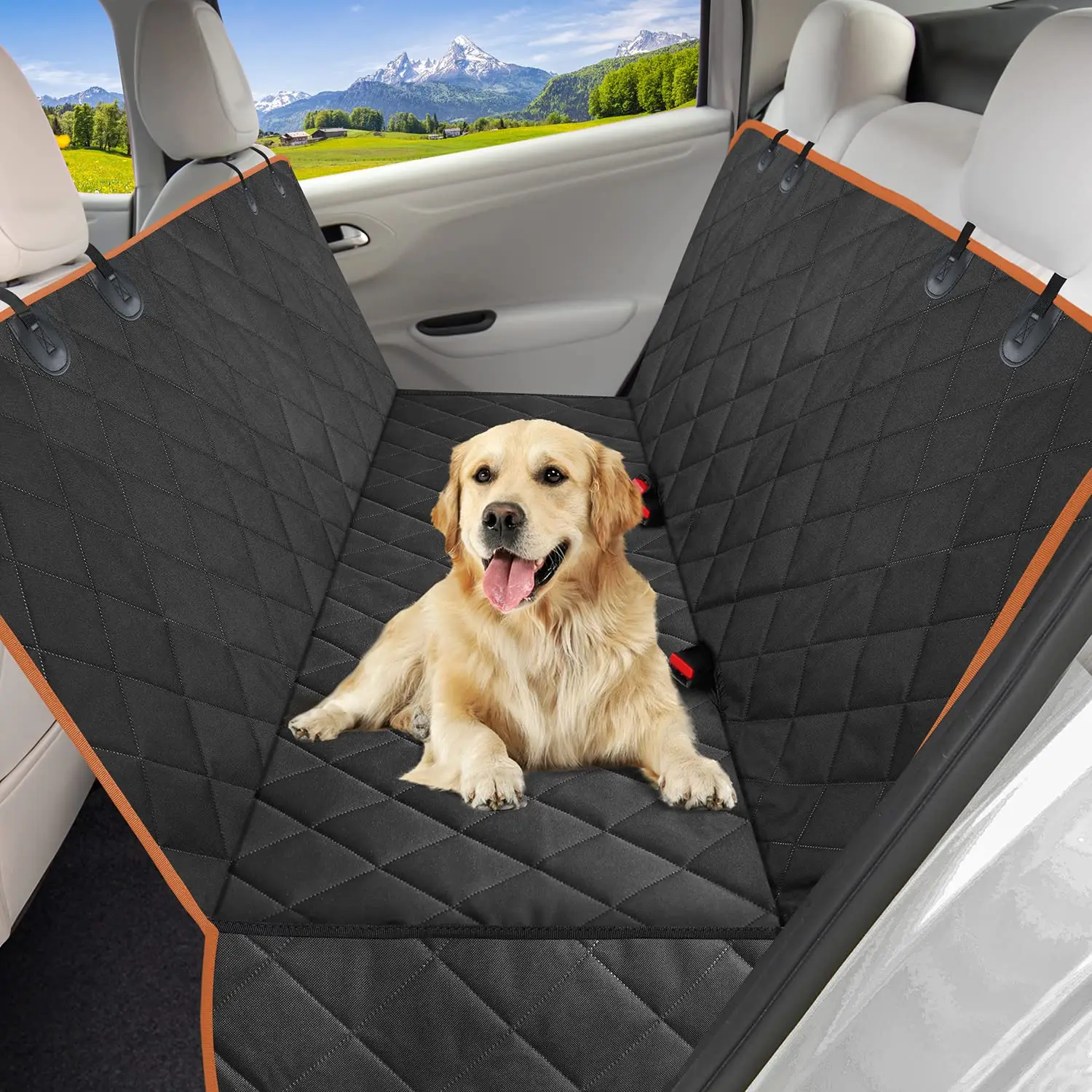 Stunning How To Get Dog Scratches Out Of Car Photos