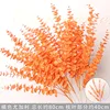 Orange five-pronged eucalyptus branch
