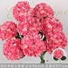 ไฮเดรนเยียสีแดงกุหลาบพร้อมใบ
