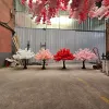 white ,pink,red