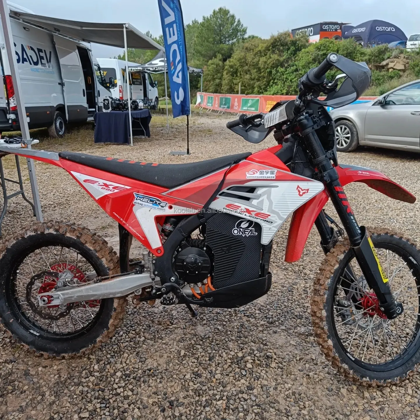 Arctic Leopard Cheetah EXE880 - High-Speed Electric Bike