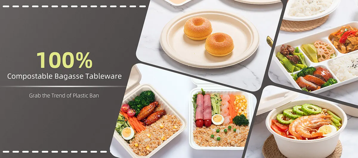 600ml Biodegradable & Compostable Sugarcane Take Away Bagasse Biodegradable Paper Take Out Food Container Disposable
