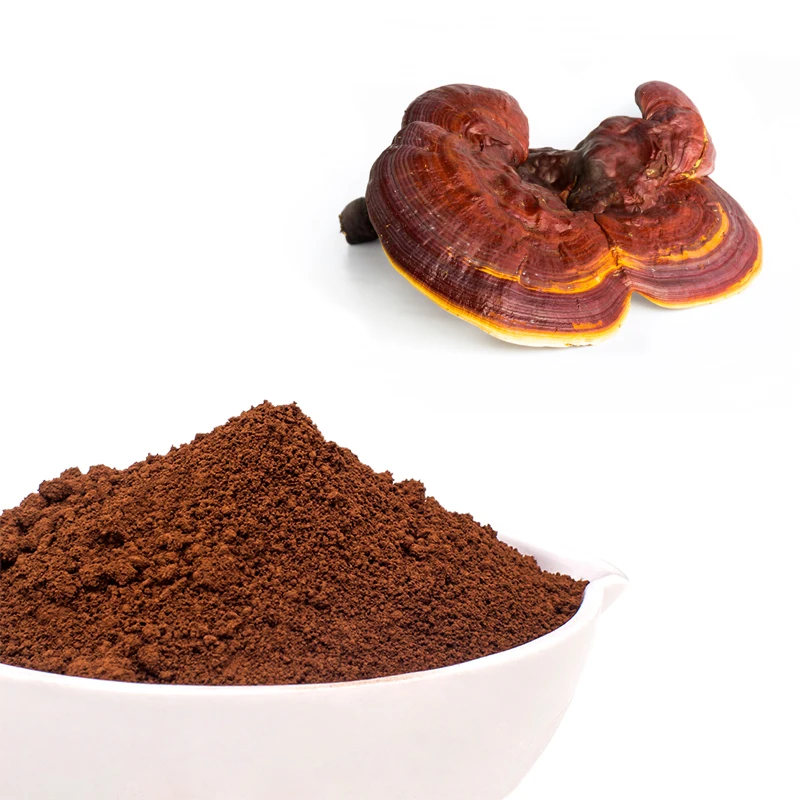 Ginseng Extract Reishi Mushroom Ganoderma Lucidum Product