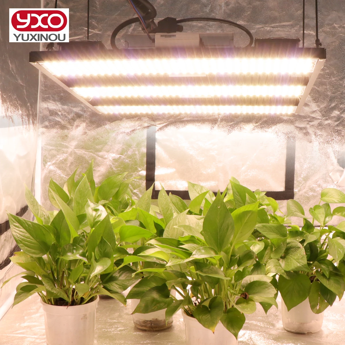 em plant EM-1 Microbial Inoculant – Greener Gardens main image 0