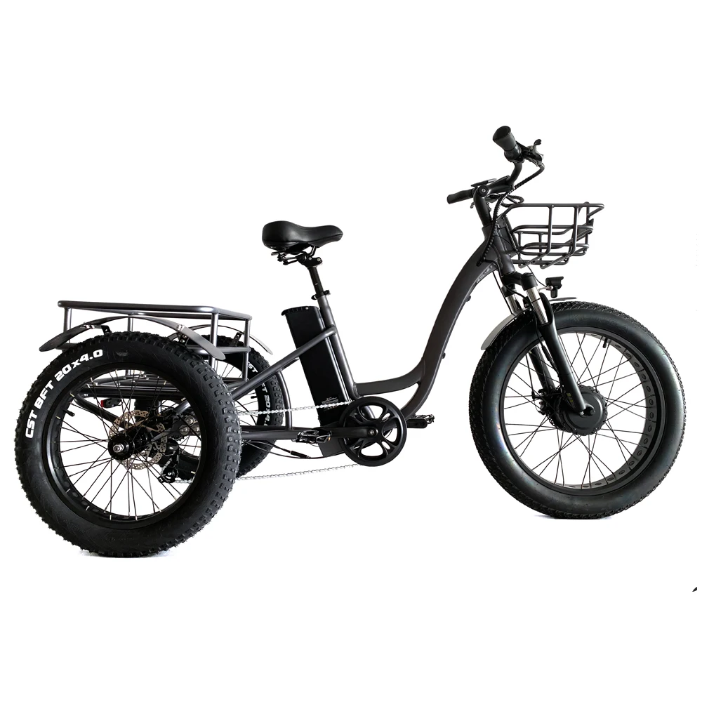 500w 48v Electric Tricycle Bafang Hub Motor 3 Wheel Cycle Pedal Assist ...