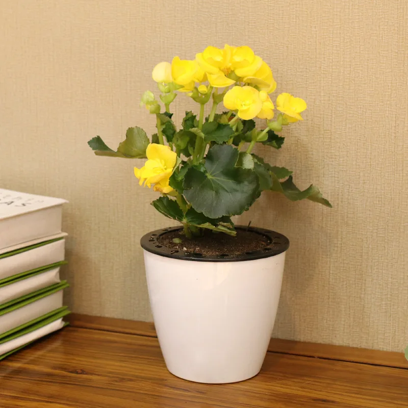 White Elegant Luxury Smart Self Watering Giant Plant Container Flower