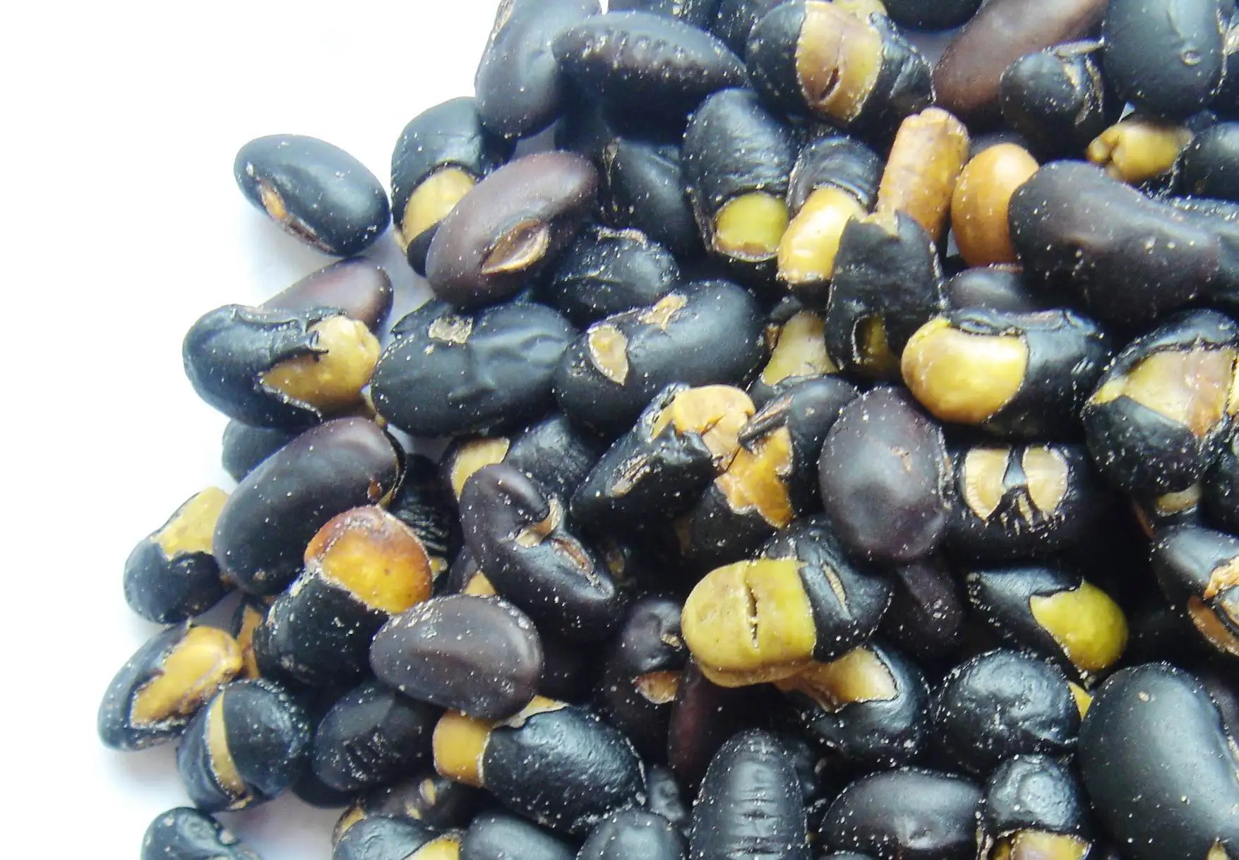 High Protein Roasted black Beans snack manufacture