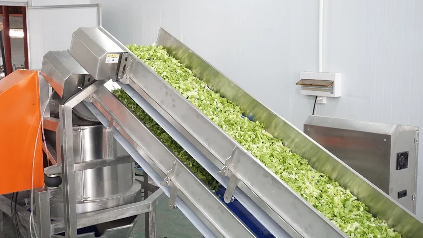 Salad Vegetable Production System Industrial Vegetable Washing Cutting Drying Processing Line