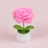 Sharp-horned glitter rose potted plant