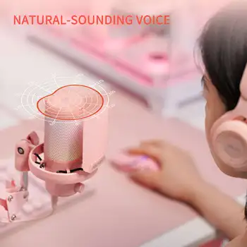 FEELWORLD VM1 Gaming Microphone with Pop Filter and Stand, USB Powered, RGB, Mute, OEM/ODM Accepted detail image