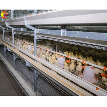 Manufacturer Direct Sale Mesh Animal Cages Broiler Chicken Cage System Battery Meat Poultry Farm